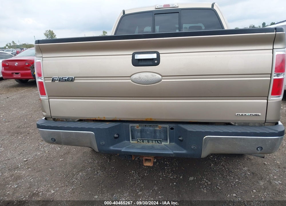 2011 FORD F-150 XLT VIN: 1FTFW1EF1BFC12174