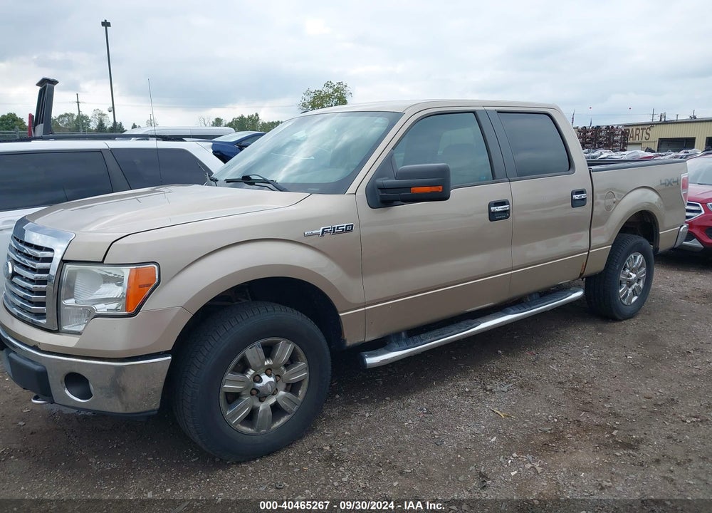2011 FORD F-150 XLT VIN: 1FTFW1EF1BFC12174