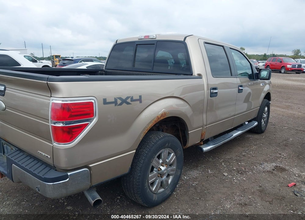 2011 FORD F-150 XLT VIN: 1FTFW1EF1BFC12174