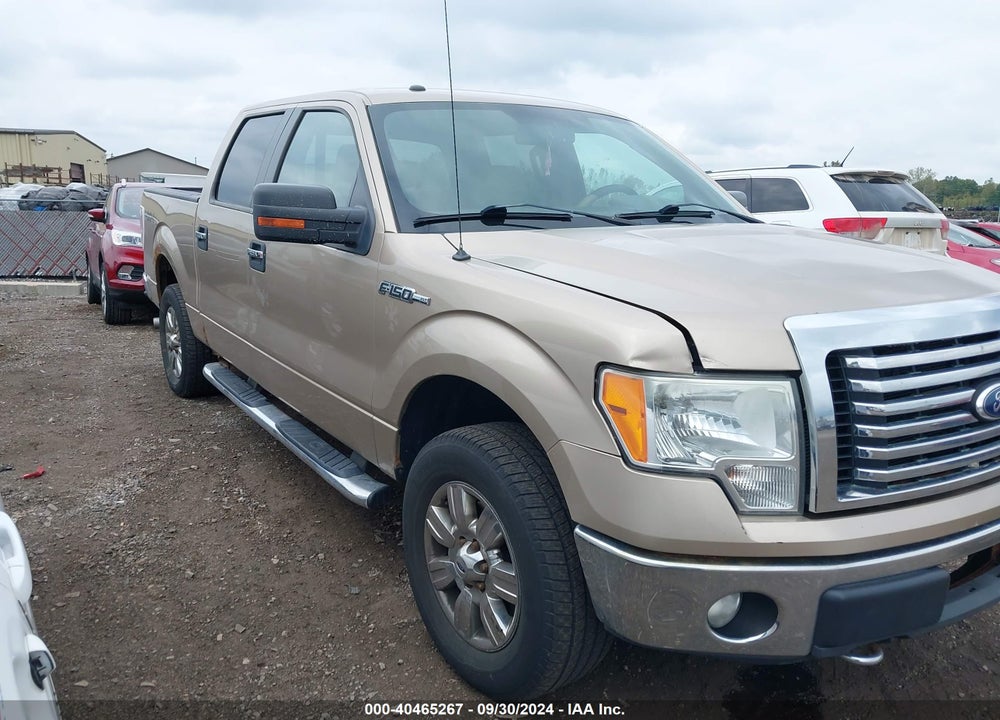 2011 FORD F-150 XLT VIN: 1FTFW1EF1BFC12174