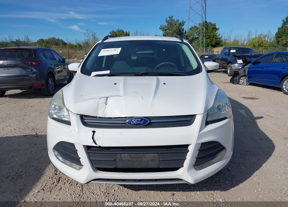 2014 FORD ESCAPE SE VIN: 1FMCU0GX1EUE12041