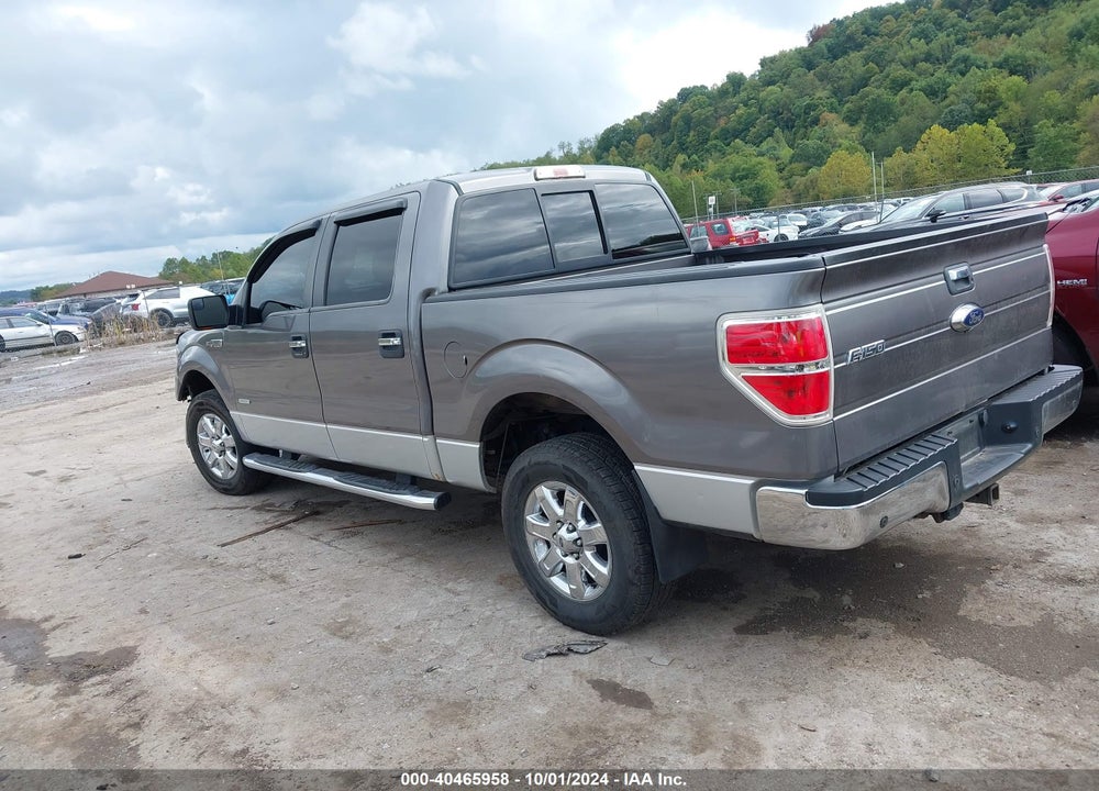 2014 FORD F-150 XLT VIN: 1FTFW1ET8EKF44582