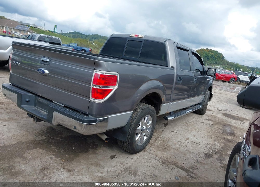 2014 FORD F-150 XLT VIN: 1FTFW1ET8EKF44582