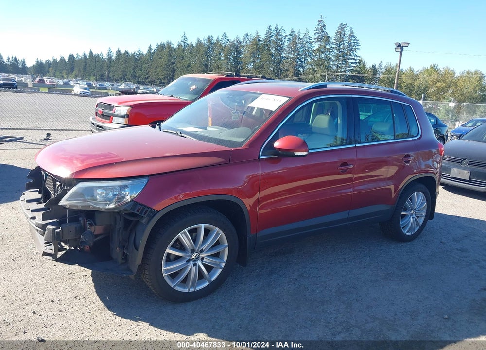 2010 VOLKSWAGEN TIGUAN SEL VIN: WVGBV7AX4AW002116