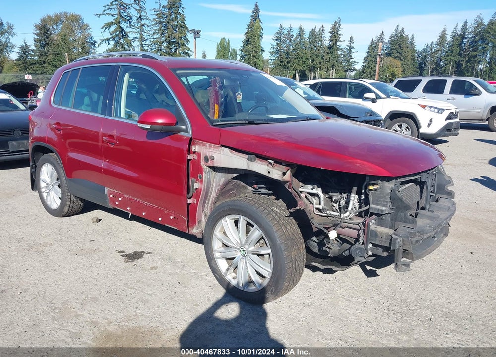 2010 VOLKSWAGEN TIGUAN SEL VIN: WVGBV7AX4AW002116