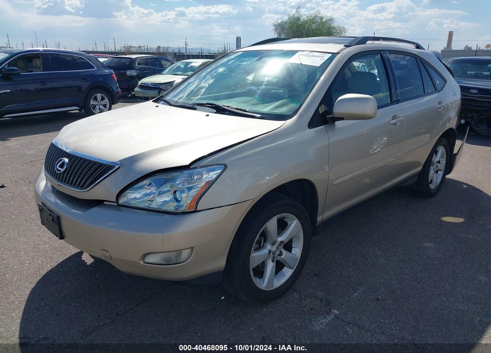 2004 LEXUS RX 330 VIN: JTJGA31U240032448
