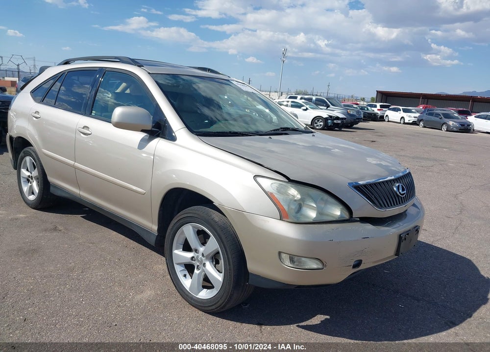 2004 LEXUS RX 330 VIN: JTJGA31U240032448