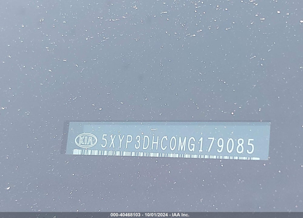 2021 KIA TELLURIDE EX VIN: 5XYP3DHC0MG179085