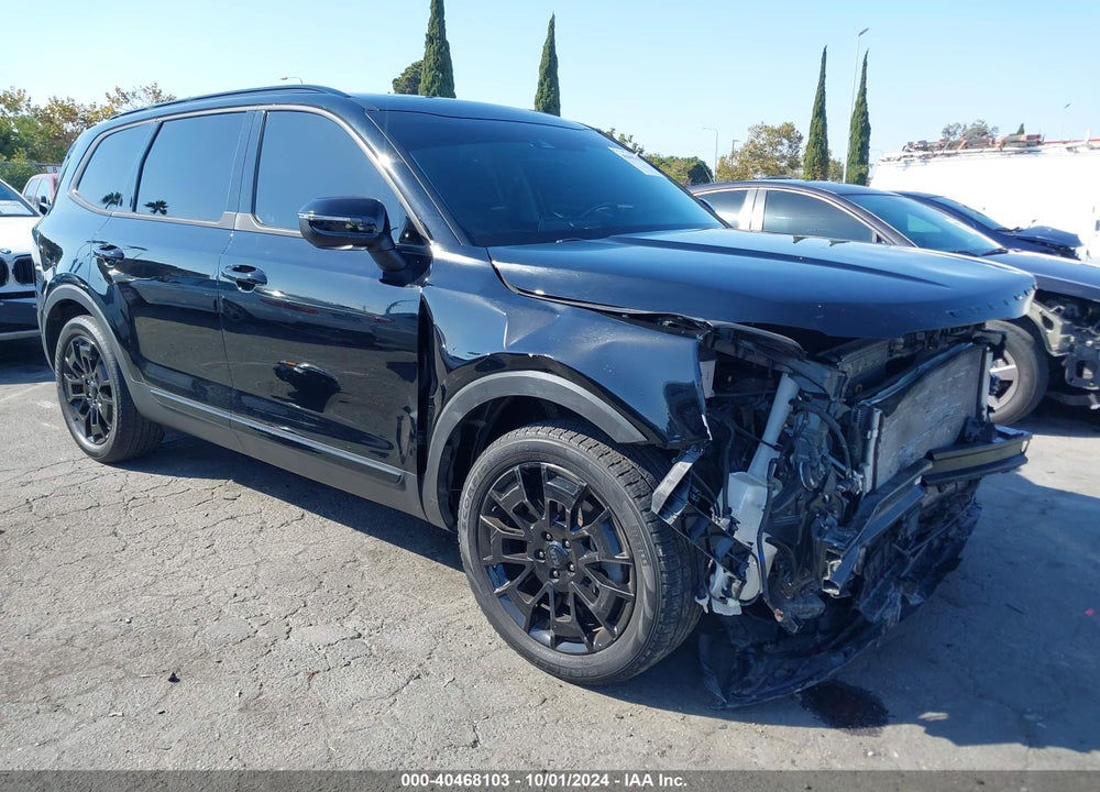 2021 KIA TELLURIDE EX VIN: 5XYP3DHC0MG179085