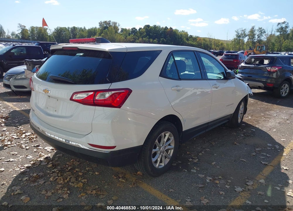 2018 CHEVROLET EQUINOX LS VIN: 2GNAXHEVXJ6106166