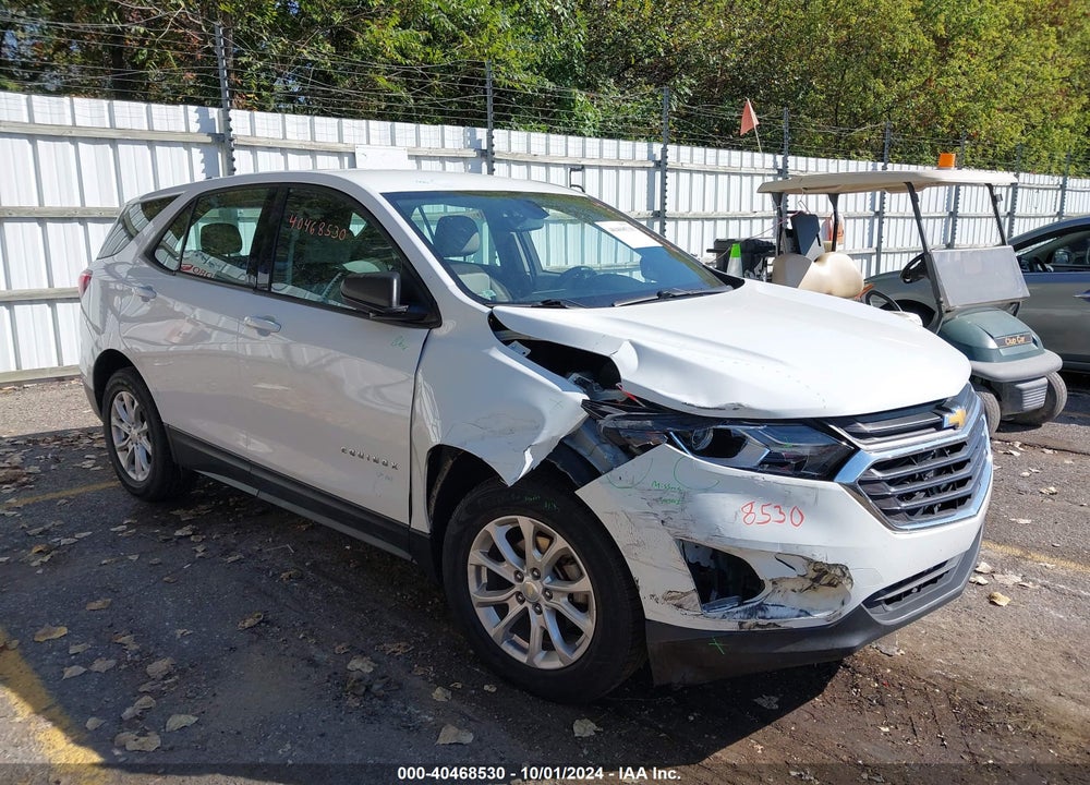 2018 CHEVROLET EQUINOX LS VIN: 2GNAXHEVXJ6106166