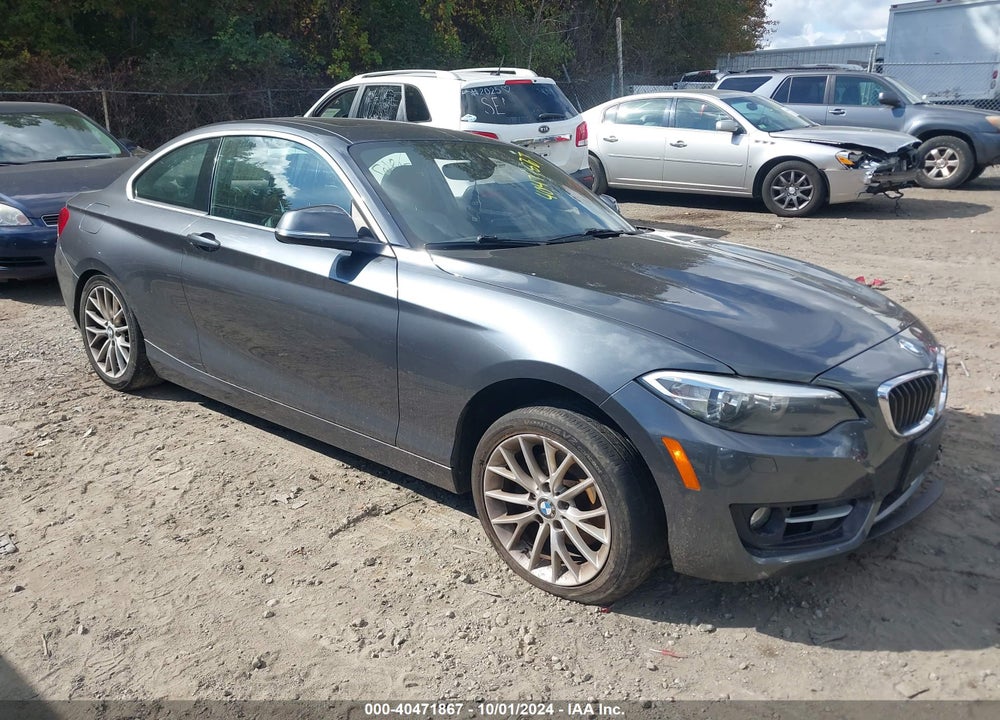 2016 BMW 228I XDRIVE VIN: WBA1G9C5XGV599379