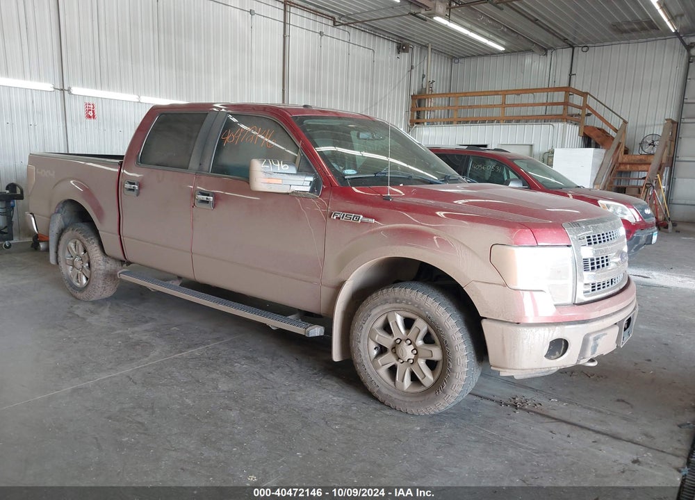 2014 FORD F-150 XLT VIN: 1FTFW1EF2EKG58099