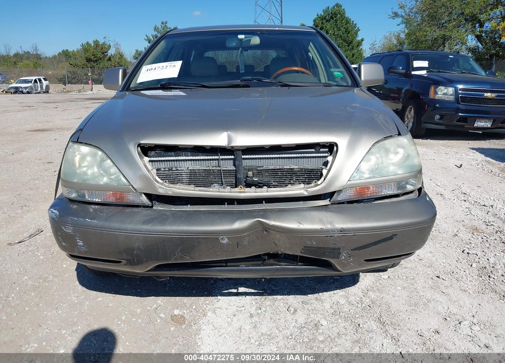 2002 LEXUS RX 300 VIN: JTJHF10U820255411