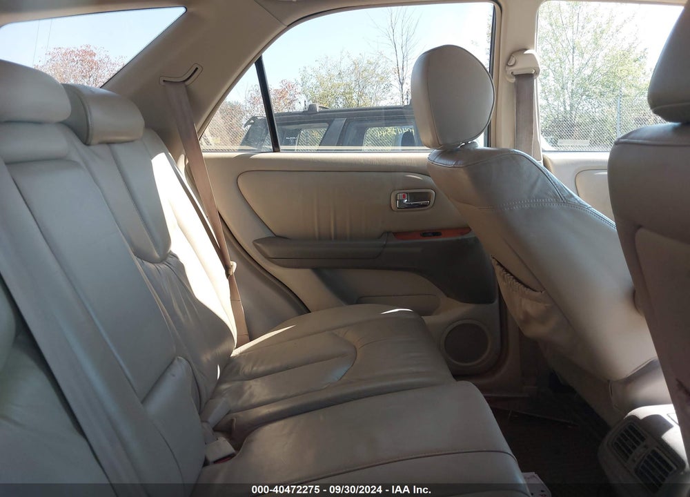2002 LEXUS RX 300 VIN: JTJHF10U820255411
