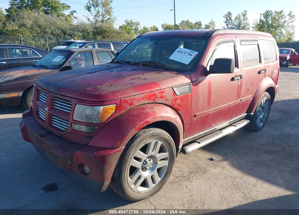 2010 DODGE NITRO SXT VIN: 1D4PU5GK9AW103300