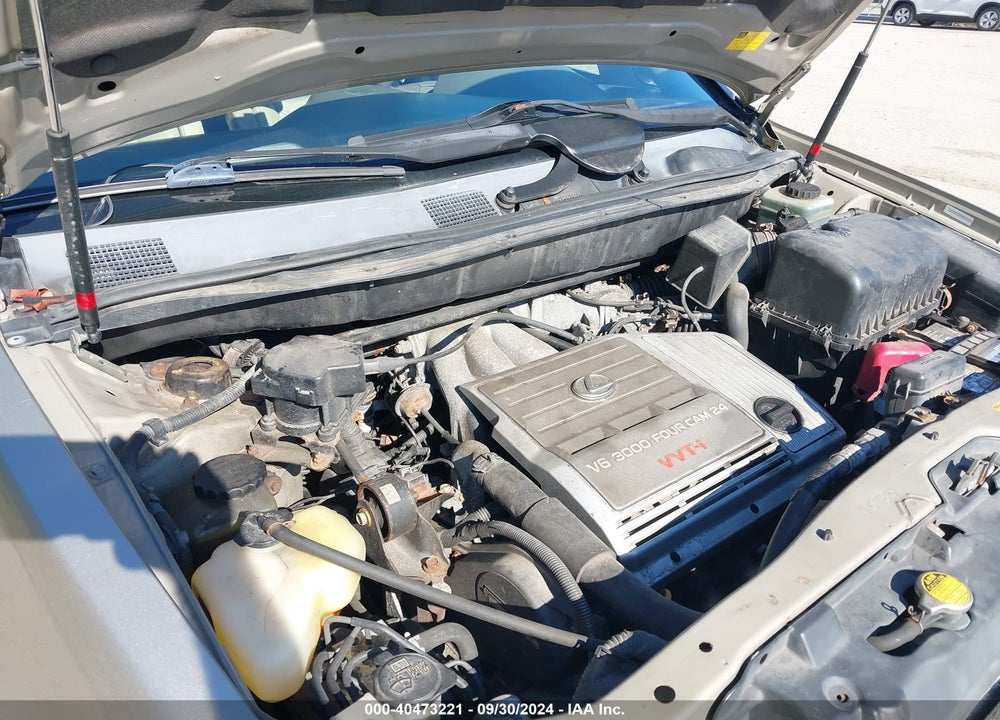 2002 LEXUS RX 300 VIN: JTJHF10U520278676