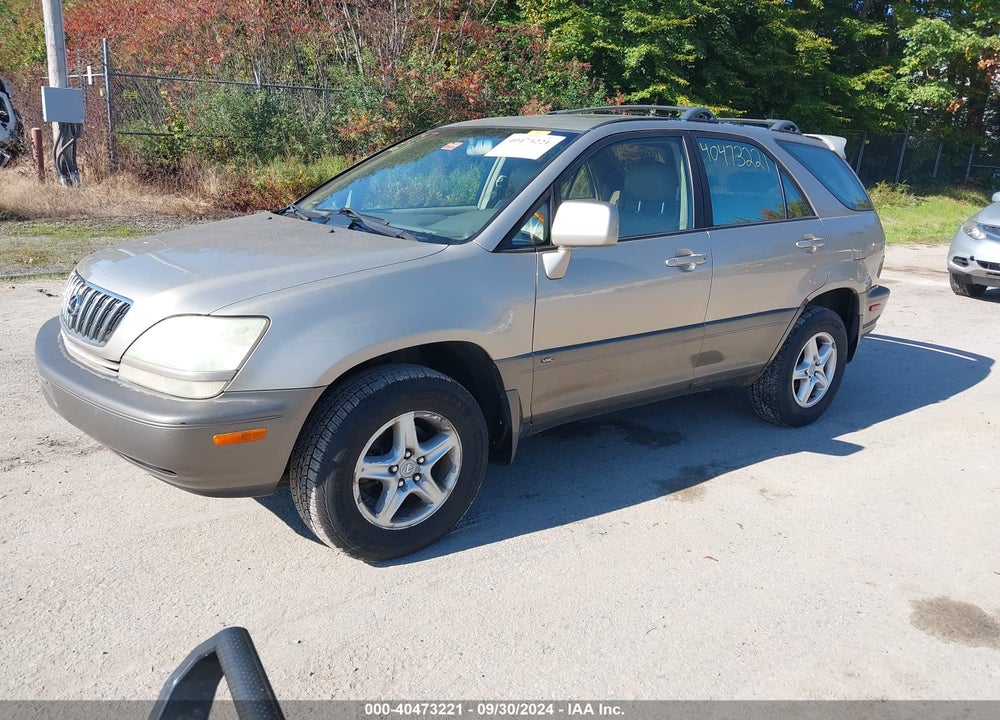 2002 LEXUS RX 300 VIN: JTJHF10U520278676