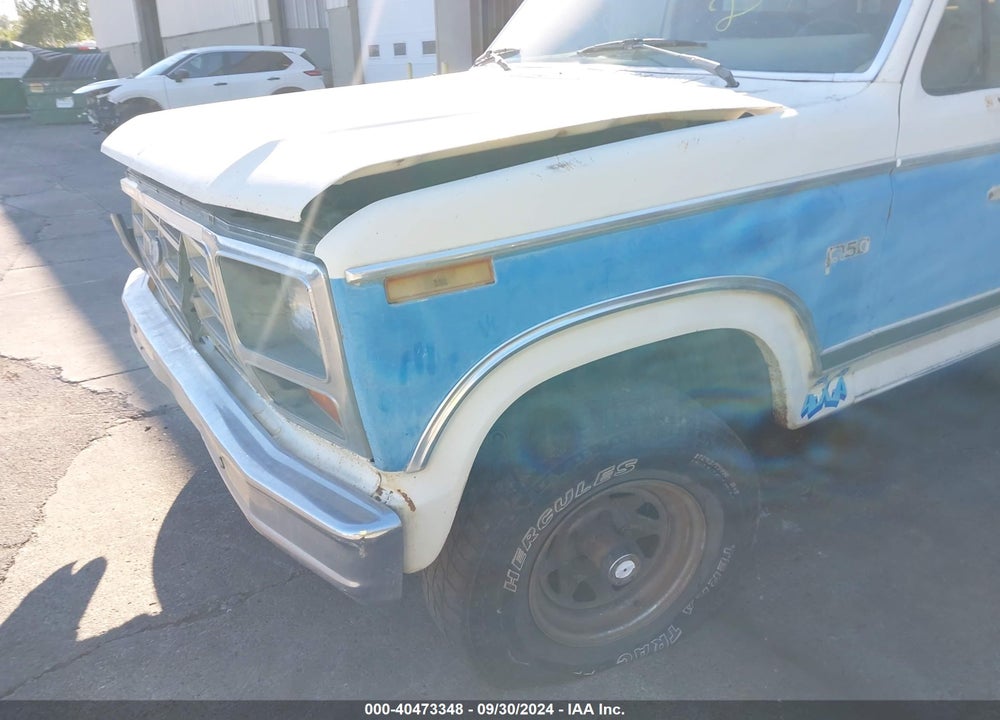 1982 FORD F150 VIN: 1FTEF14E0CRA18272