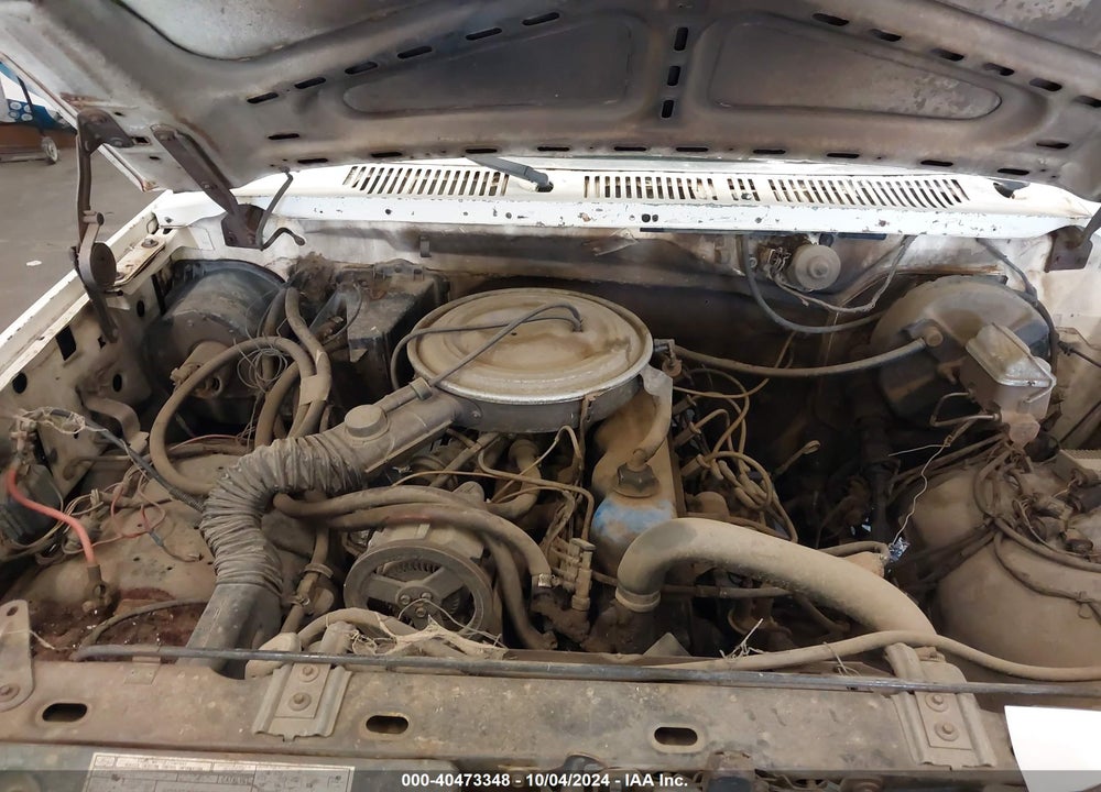 1982 FORD F150 VIN: 1FTEF14E0CRA18272