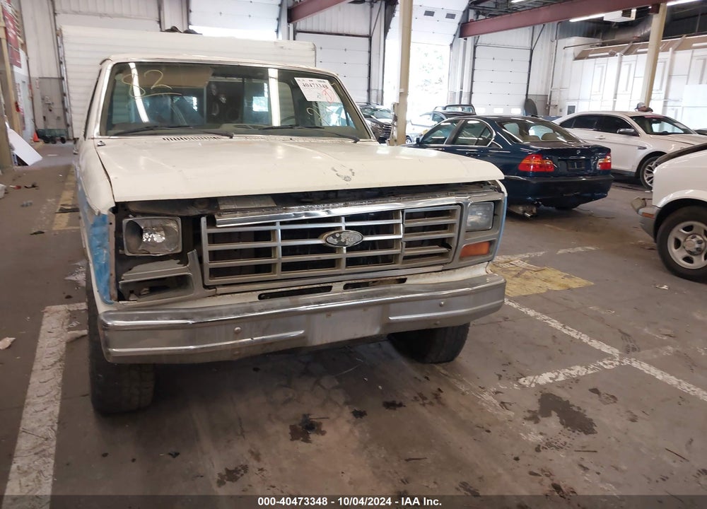 1982 FORD F150 VIN: 1FTEF14E0CRA18272