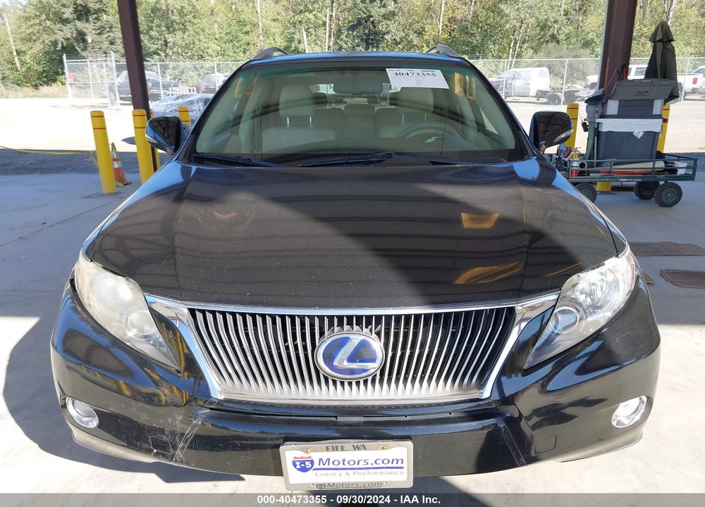 2010 LEXUS RX 450H VIN: JTJBC1BA1A2411373