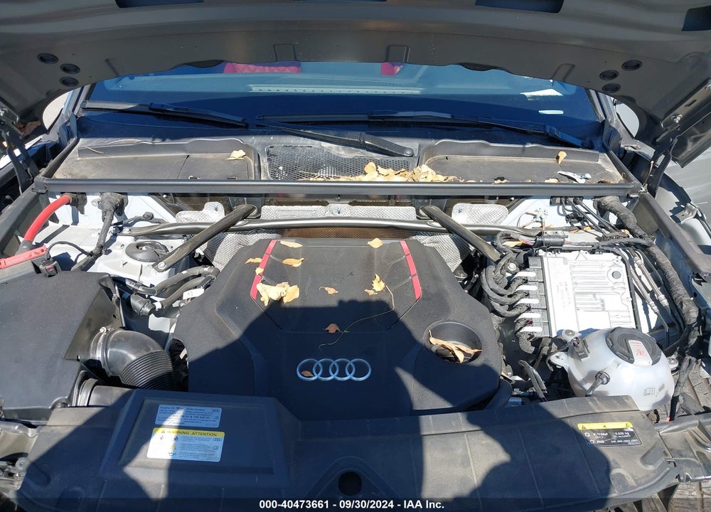2024 AUDI SQ5 PREMIUM PLUS TFSI QUATTRO TIPTRONIC VIN: WA1B4AFY5R2018974