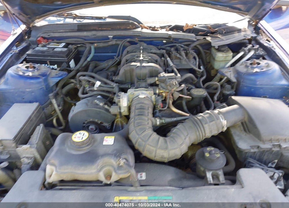 2005 FORD MUSTANG V6 DELUXE/V6 PREMIUM VIN: 1ZVFT80N455145240