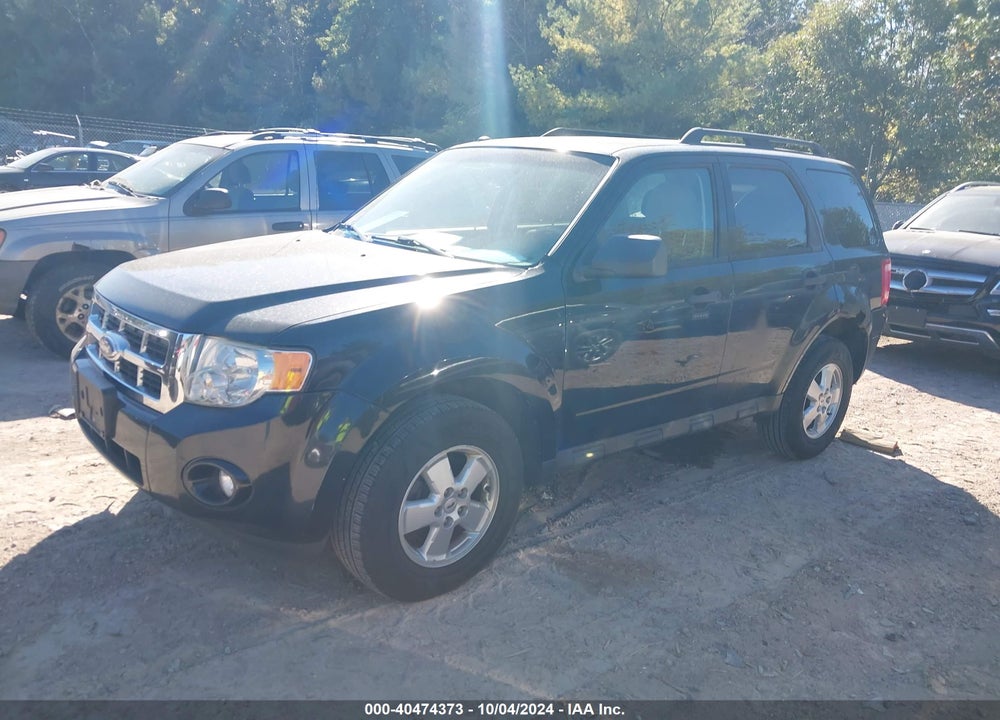 2011 FORD ESCAPE XLT VIN: 1FMCU0DG1BKC11929