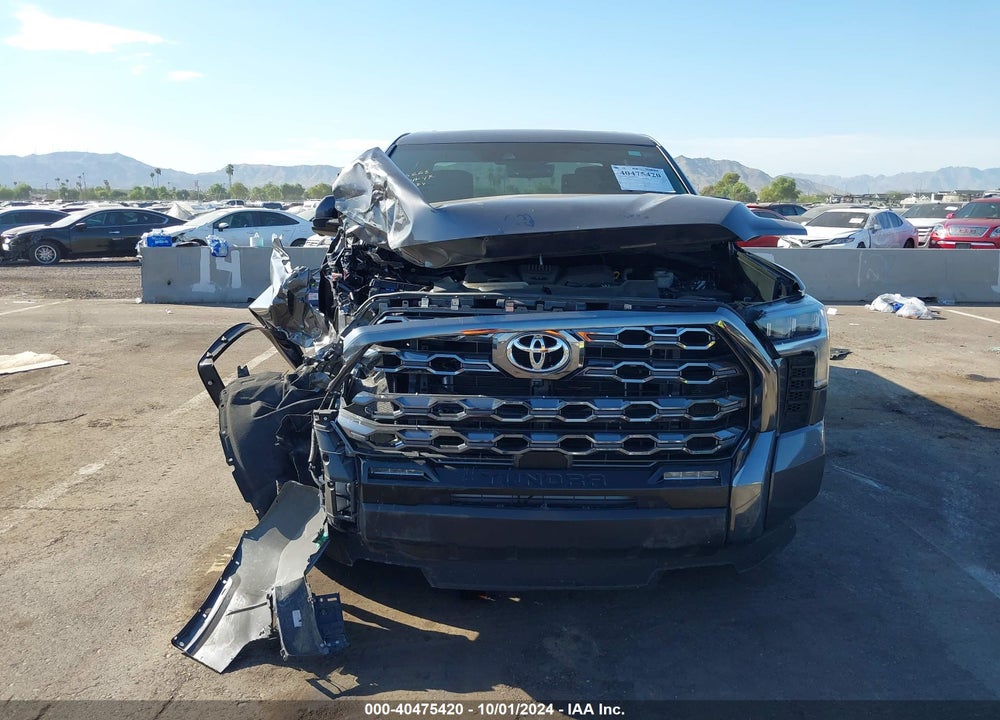 2023 TOYOTA TUNDRA PLATINUM VIN: 5TFNA5DB9PX124586