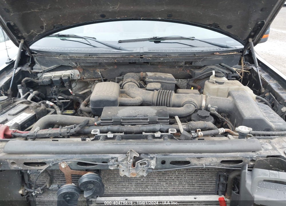 2010 FORD F-150 FX4/LARIAT/XL/XLT VIN: 1FTFX1EV8AFA55875