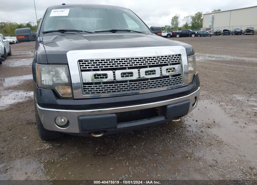 2010 FORD F-150 FX4/LARIAT/XL/XLT VIN: 1FTFX1EV8AFA55875