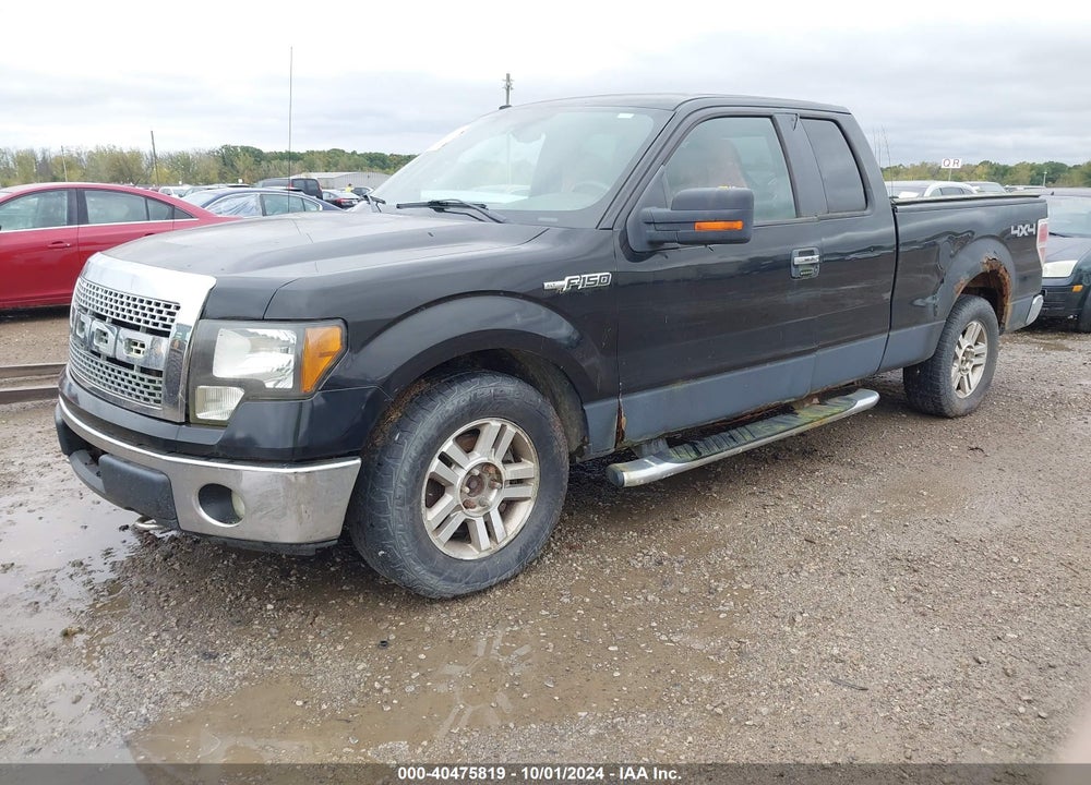 2010 FORD F-150 FX4/LARIAT/XL/XLT VIN: 1FTFX1EV8AFA55875