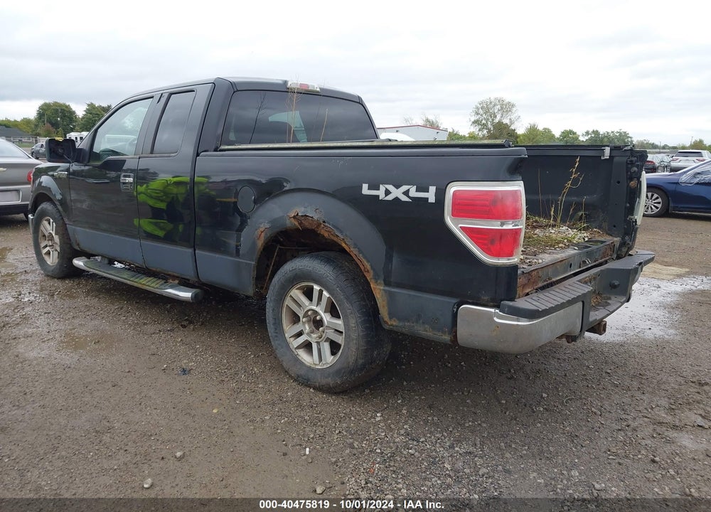 2010 FORD F-150 FX4/LARIAT/XL/XLT VIN: 1FTFX1EV8AFA55875