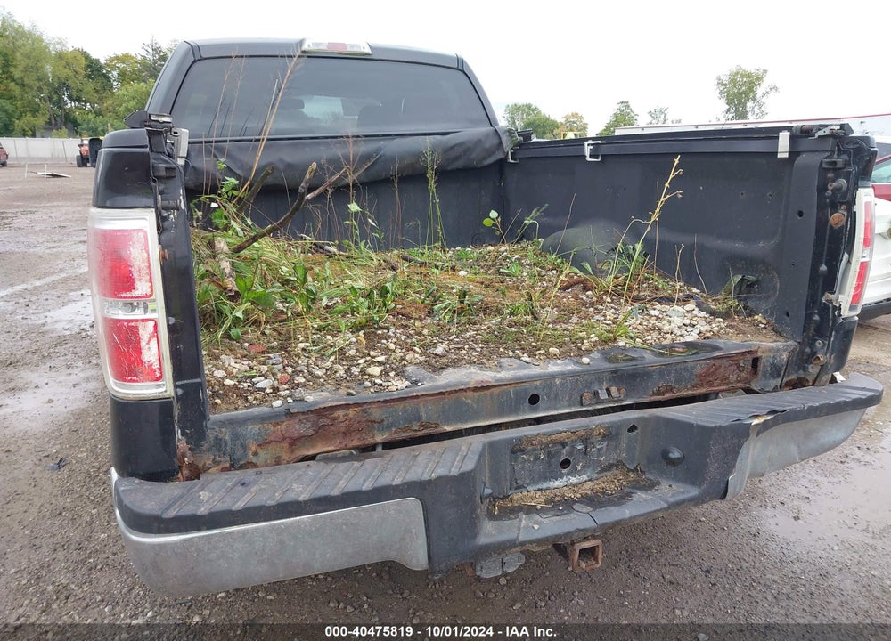 2010 FORD F-150 FX4/LARIAT/XL/XLT VIN: 1FTFX1EV8AFA55875