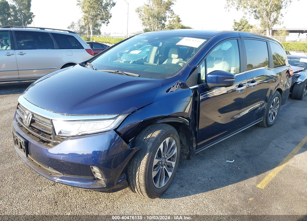 2024 HONDA ODYSSEY EX-L VIN: 5FNRL6H6XRB019311