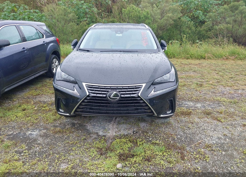 2021 LEXUS NX 300 VIN: JTJDARBZ5M2181540