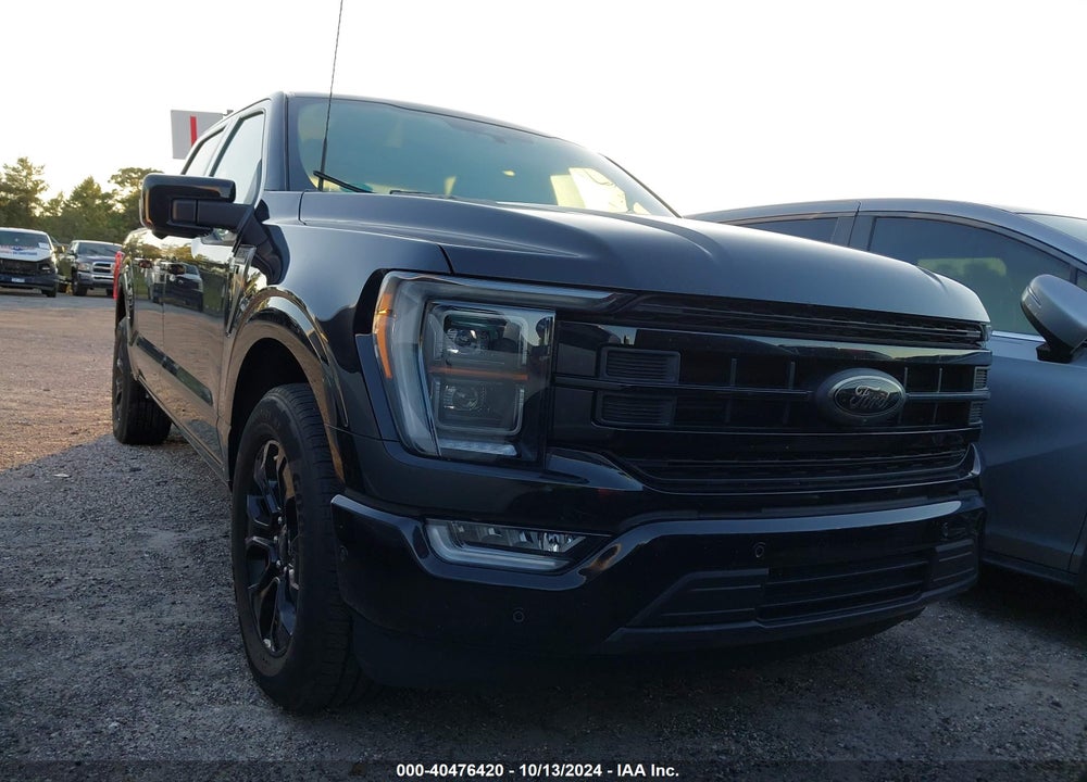 2022 FORD F-150 PLATINUM VIN: 1FTEW1C52NFC28880
