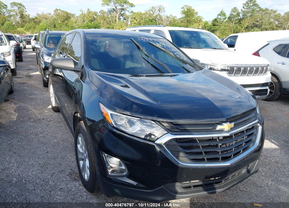 2019 CHEVROLET EQUINOX LS VIN: 2GNAXHEV4K6178126