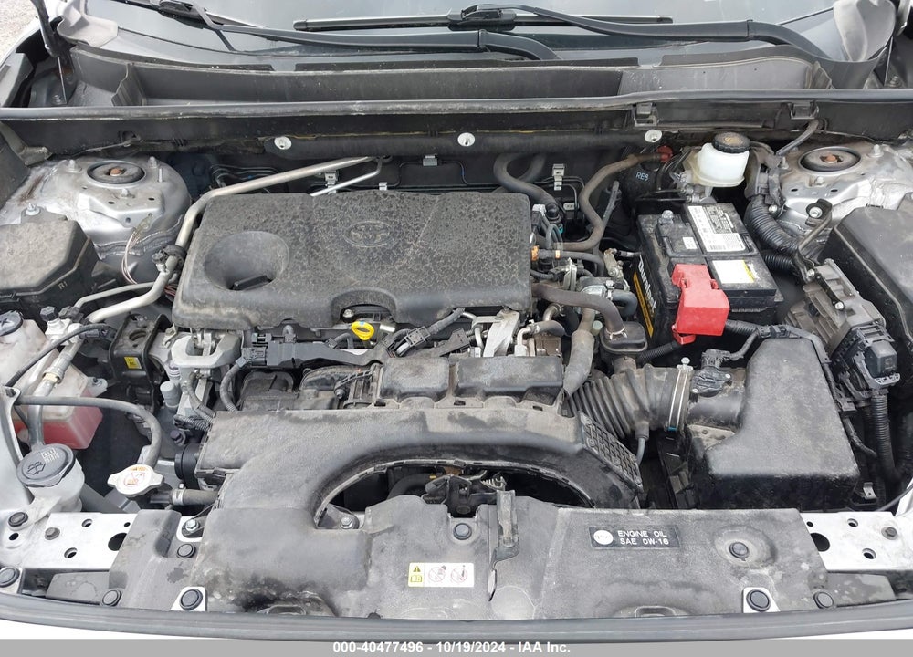 2019 TOYOTA RAV4 XLE VIN: JTMW1RFV8KJ011680