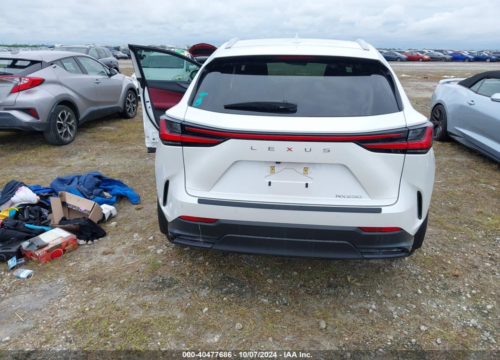 2024 LEXUS NX 250 PREMIUM VIN: 2T2GDCAZ1RC011217