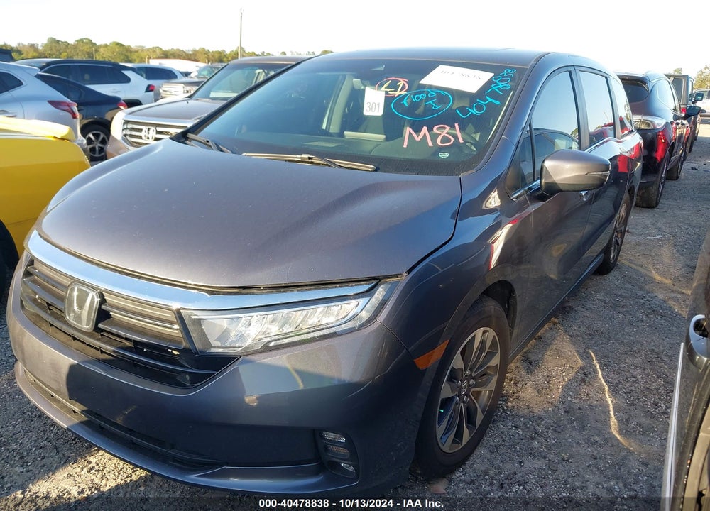 2024 HONDA ODYSSEY EX-L VIN: 5FNRL6H63RB069872