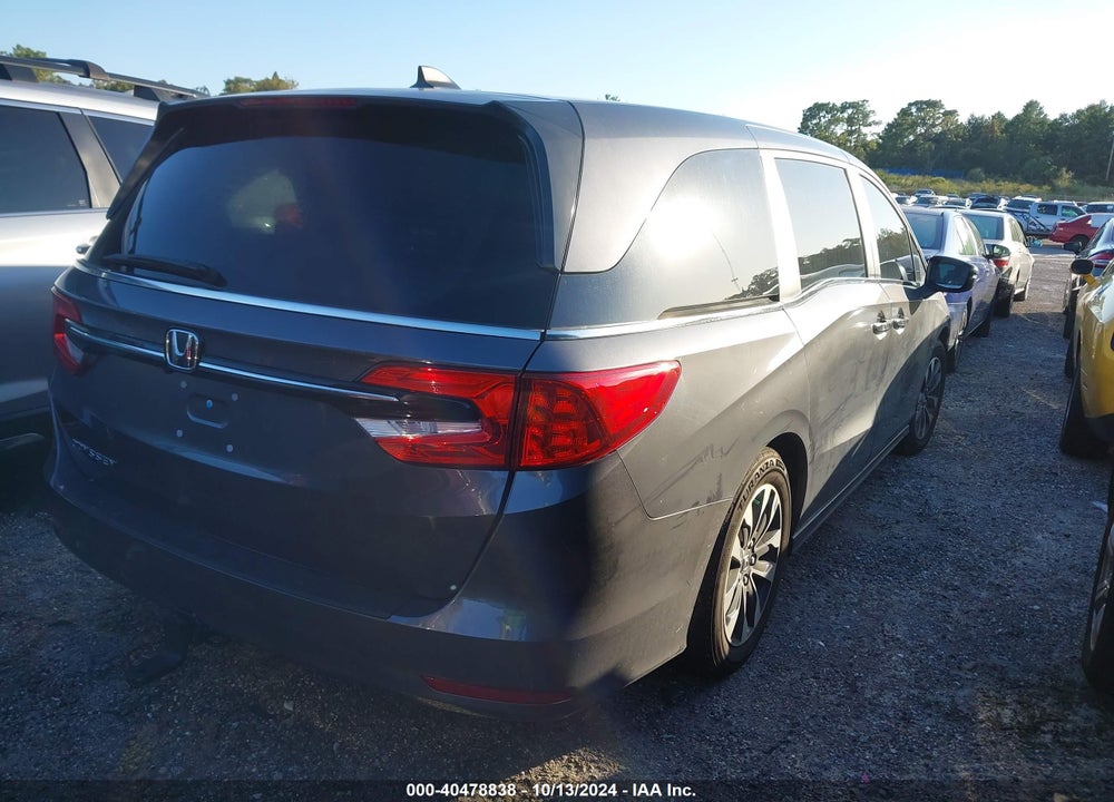 2024 HONDA ODYSSEY EX-L VIN: 5FNRL6H63RB069872