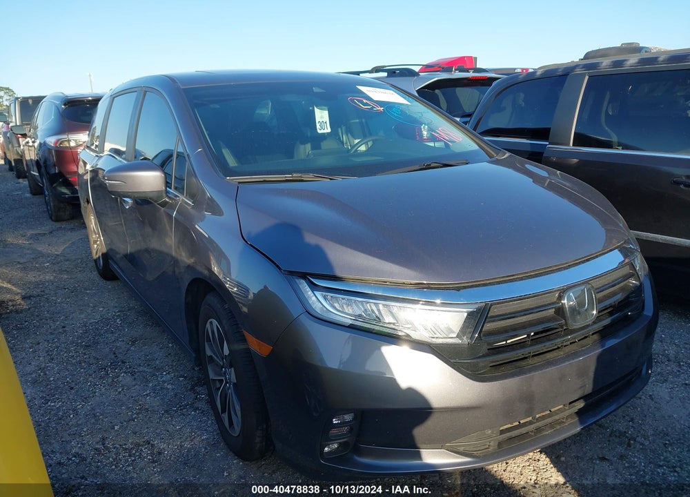 2024 HONDA ODYSSEY EX-L VIN: 5FNRL6H63RB069872
