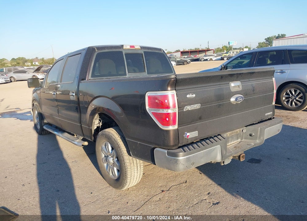 2013 FORD F-150 XLT VIN: 1FTFW1CF9DFC56705