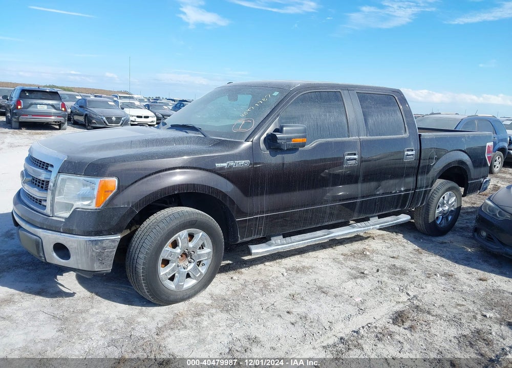 2013 FORD F-150 XLT VIN: 1FTFW1CF0DKF29862
