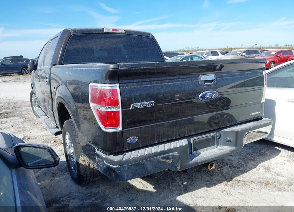 2013 FORD F-150 XLT VIN: 1FTFW1CF0DKF29862