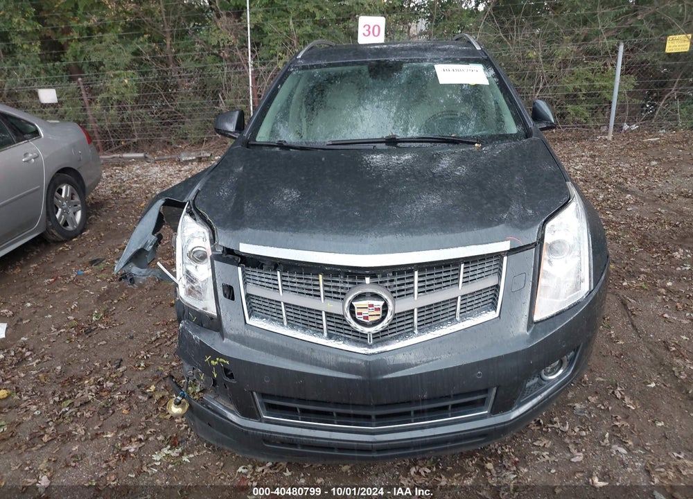 2011 CADILLAC SRX PREMIUM COLLECTION VIN: 3GYFNFEY1BS579731