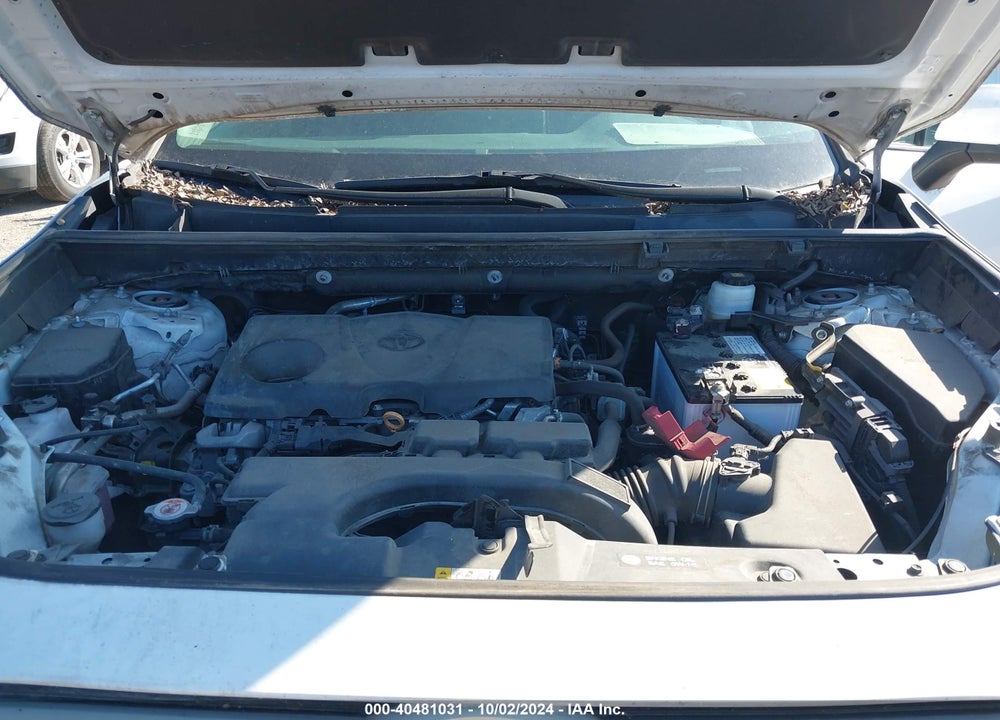 2021 TOYOTA RAV4 LE VIN: 2T3G1RFV7MW170781