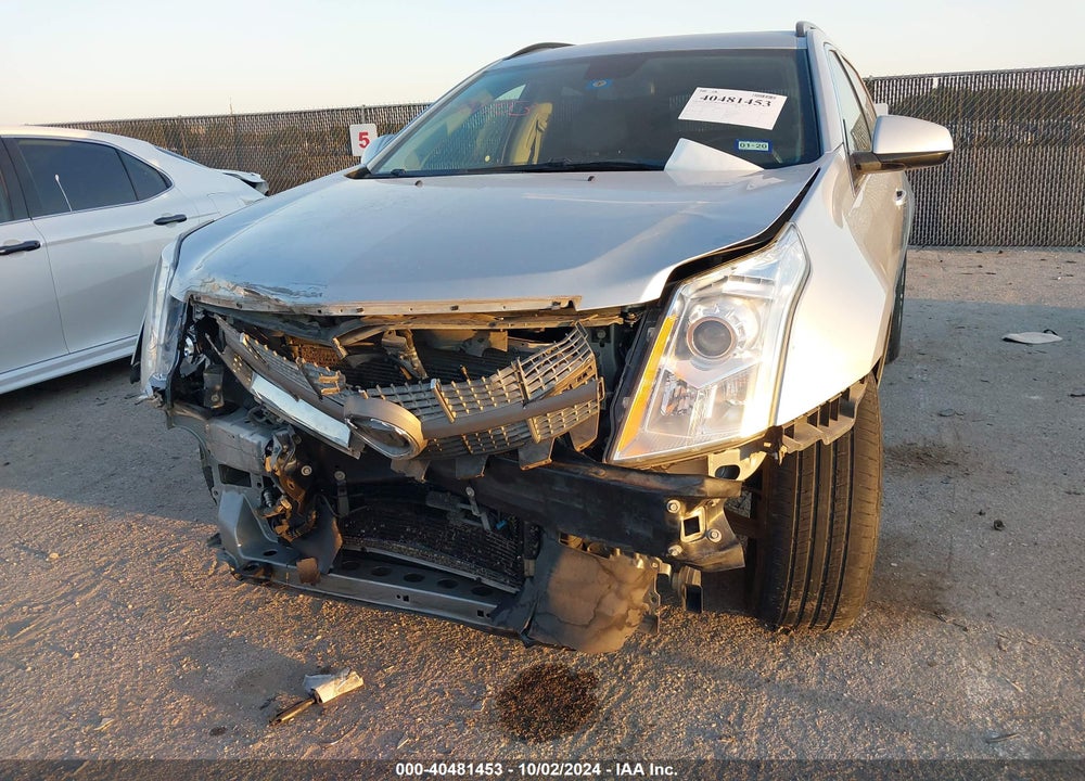 2010 CADILLAC SRX STANDARD VIN: 3GYFNGEY0AS578297